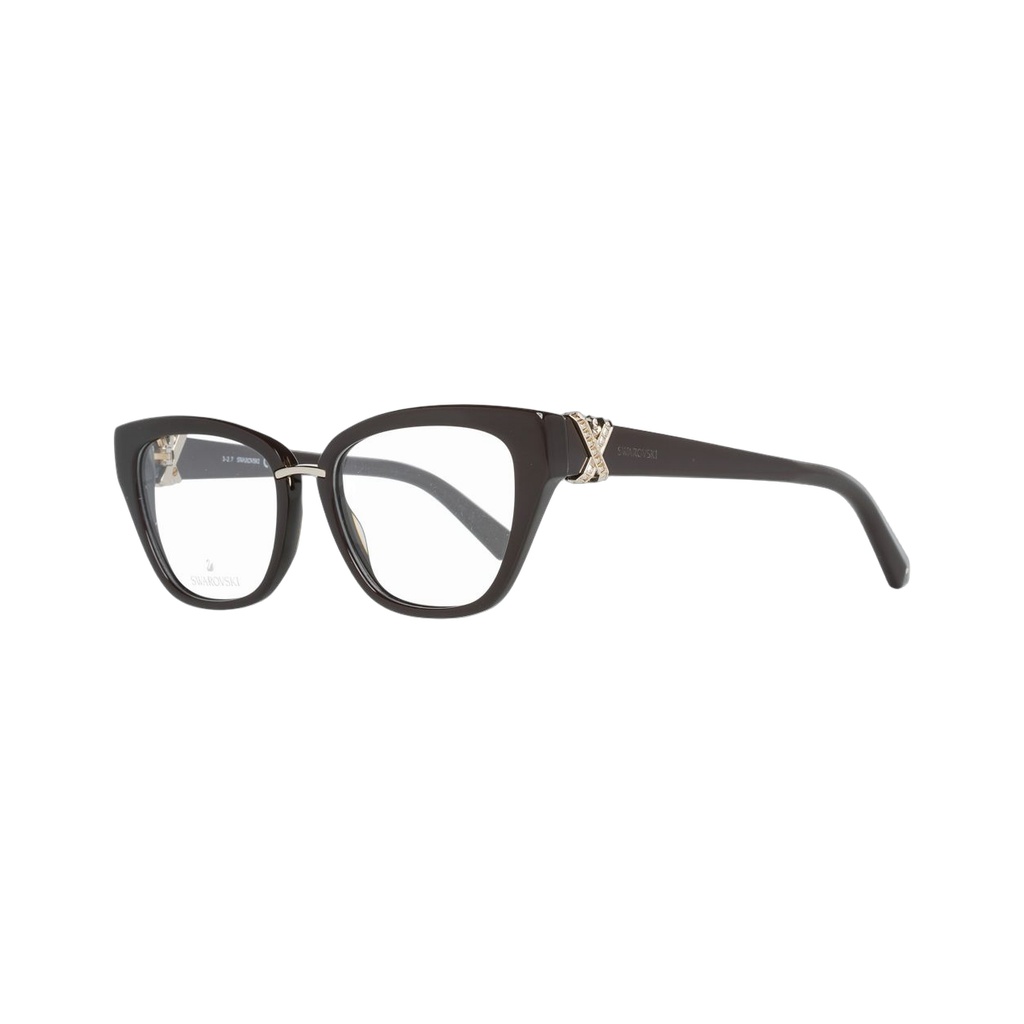 Brown Plastic Glasses (Frames)
