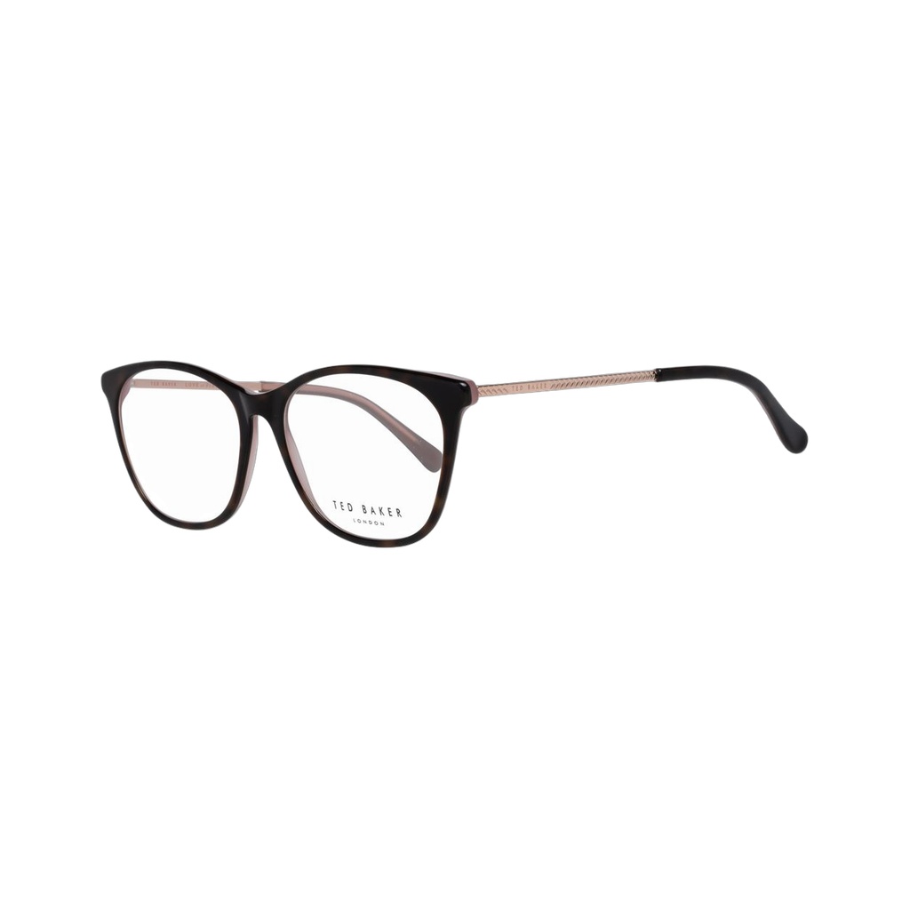Brown Plastic Glasses (Frames)