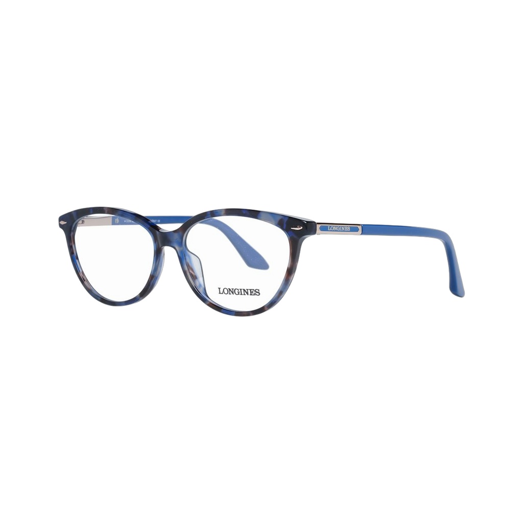 Blue Plastic Glasses (Frames)
