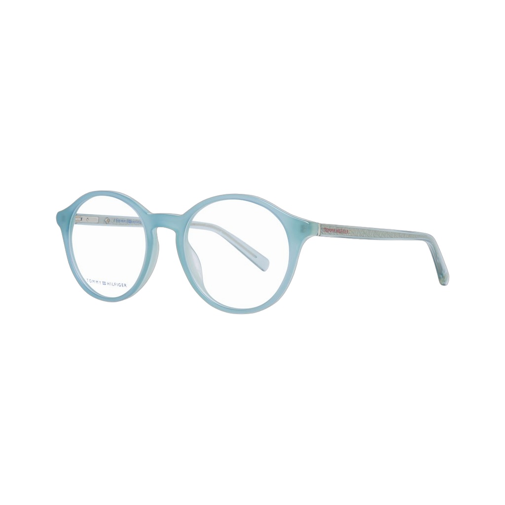 Blue Plastic Glasses (Frames)